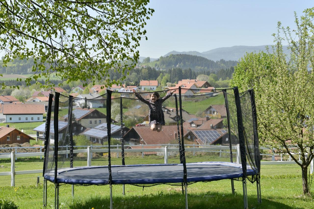 Pension Waldkristall Фрауэнау Экстерьер фото